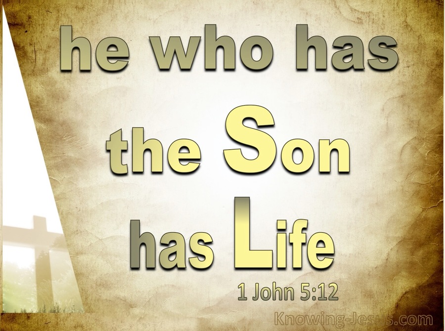 1 John 5:12 He Who Has The Son Has Life (brown)